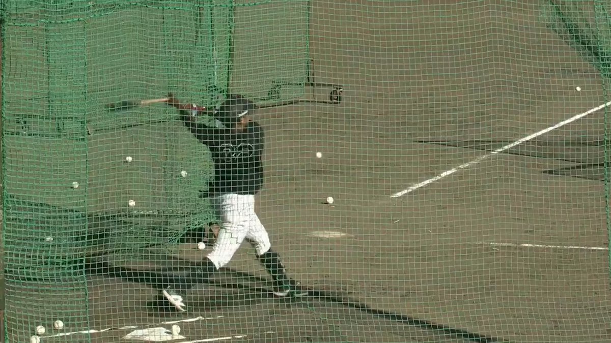 【安芸】 井上選手が柵越え3連発!自慢のパワーを見せつける! #hanshin #虎テレ #阪神タイガース #秋季キャンプ 虎テレでは秋季キャンプをライブ配信