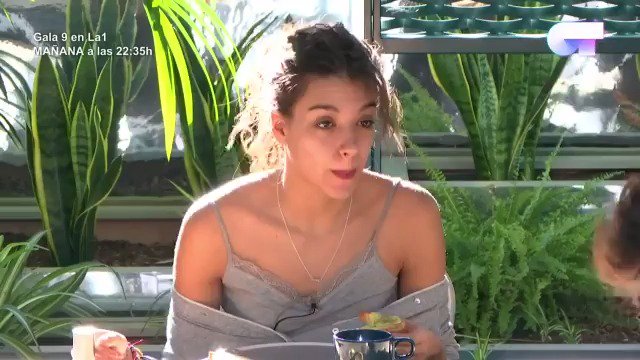6 minutos sobre si el aguacate es una fruta una verdura y yo me lo he tragado entero otra vez