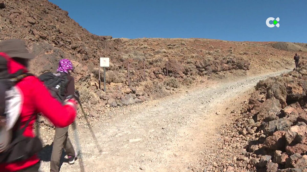 Noah Higón cumplió su reto de subir al Teide para visibilizar la importancia de investigar las enfermedades raras Una iniciativa que Televisión Canaria ha querido convertir en documental y que podrán ver muy pronto Javier Santaolalla