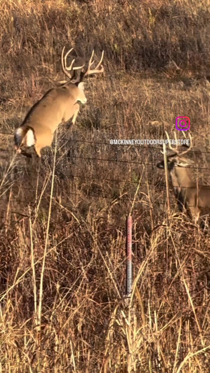 Let's get ready to RUMBLE!!! Are you ready for the rut? 📽️@mckinneyoutdoorsuperstore #FindYourAdventure #outdoors #hunting #deer #deerhunting