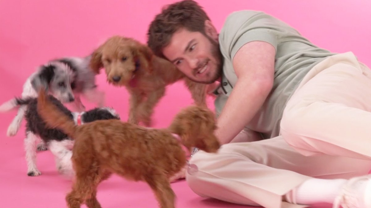 Andrew Garfield's new film, "We Live in Time," is sure to crack your heart open, and so is this puppy interview!