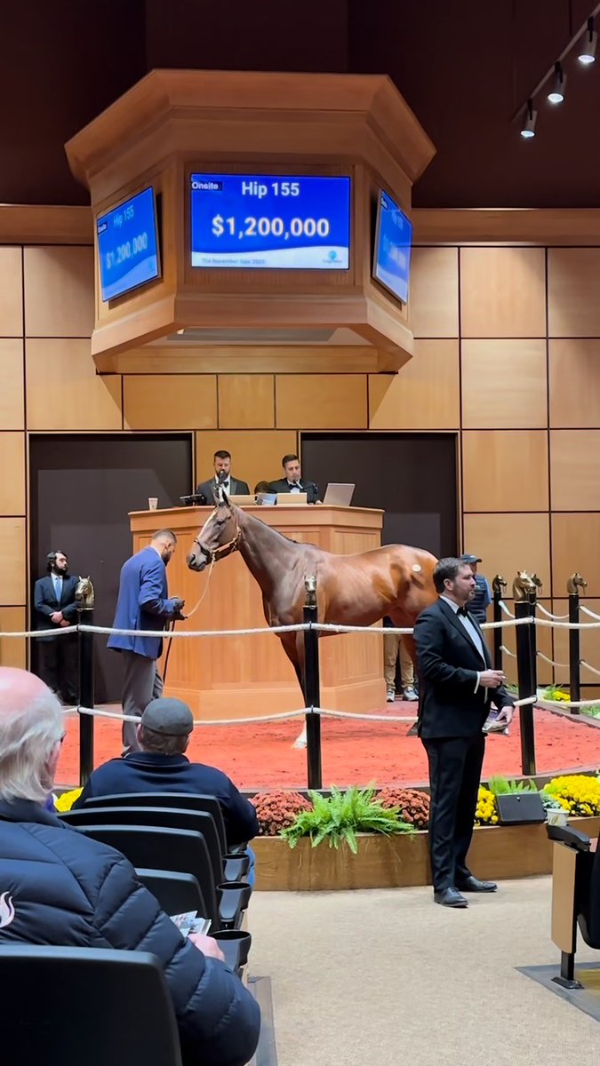 Graded stakes winner SPECIAL WAN (IRE) sells for $1,300,000 at The November Sale! Special Wan impressively won the Goldikova S. (G3) at Saturday on the Breeders' Cup undercard. Congrats to the connections: B: Katsumi Yoshida C: Bluewater Sales, agt #FasigNovember