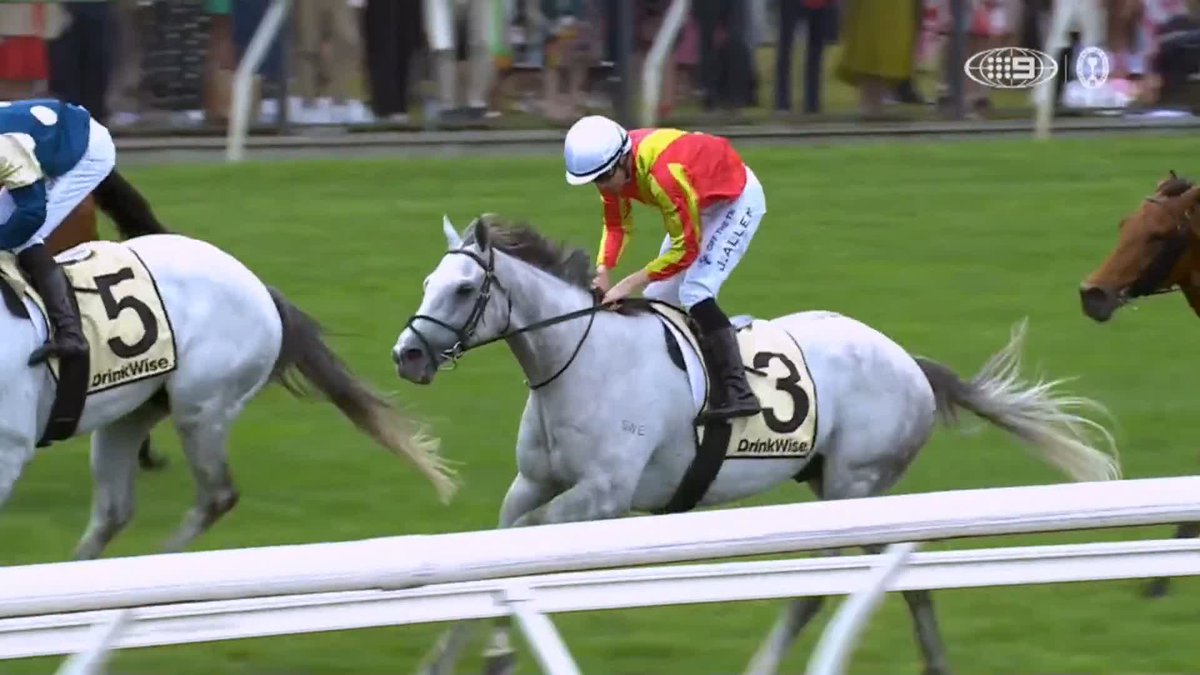Beware the grey ⚡️ KINGSWOOD comes from the back to take out the Kirin Ichiban Plate. 🎥 Wide World of Sports | #MelbourneCup | #MelbCupCarnival