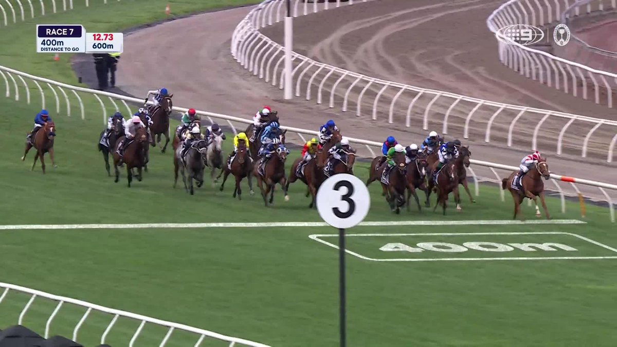HALF YOURS HAS WON THE 2025 LEXUS MELBOURNE CUP! 🏆 🖥️ Watch the full race on 9Now #9WWOS #MelbourneCup