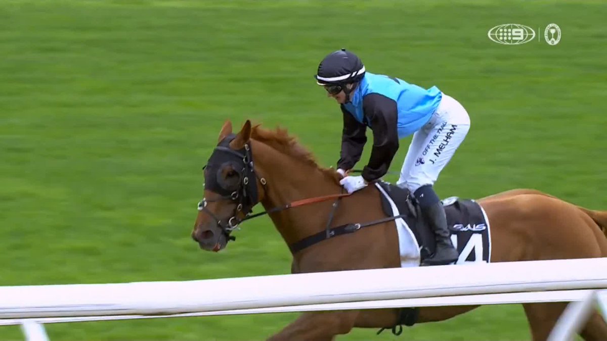 HerStory 🤩 Jamie Melham becomes the first female jockey ever to complete the Cups double, guiding HALF YOURS to victory in the 2025 Lexus Melbourne Cup. 🎥 Wide World of Sports | #MelbourneCup | #MelbCupCarnival