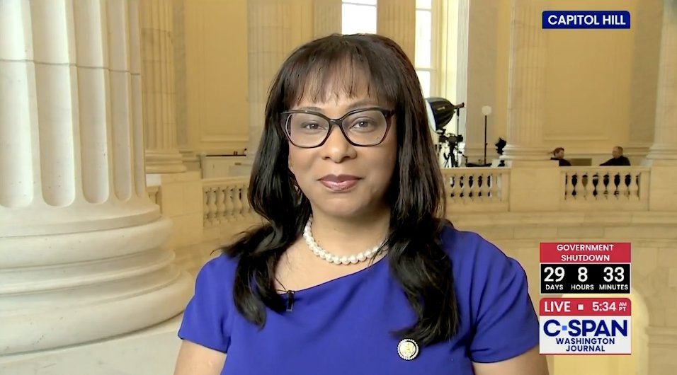 💥 Democrat Shutdown Day 35 - understanding the REAL reason Democrats won't take yes for an answer