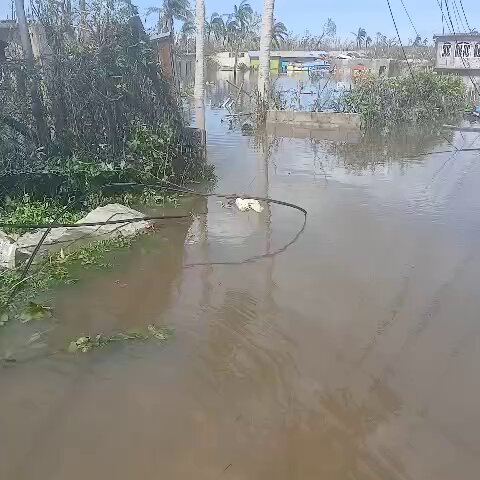 My mom is packing and shipping barrels to Montego Bay. Many people are running out of food and water You can purchase something as low as $5 from her wishlist or donate to the shipping of the barrels, links in the thread below ⬇️ I’ll be personally updating every donator