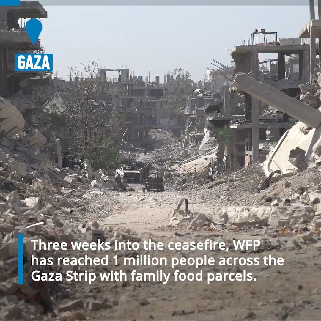 📍Three weeks into the ceasefire, WFP has reached 1 million people across #Gaza with family food parcels. But after two years of war and months of insufficient food supply, families are still struggling to put food on the table. Our update: