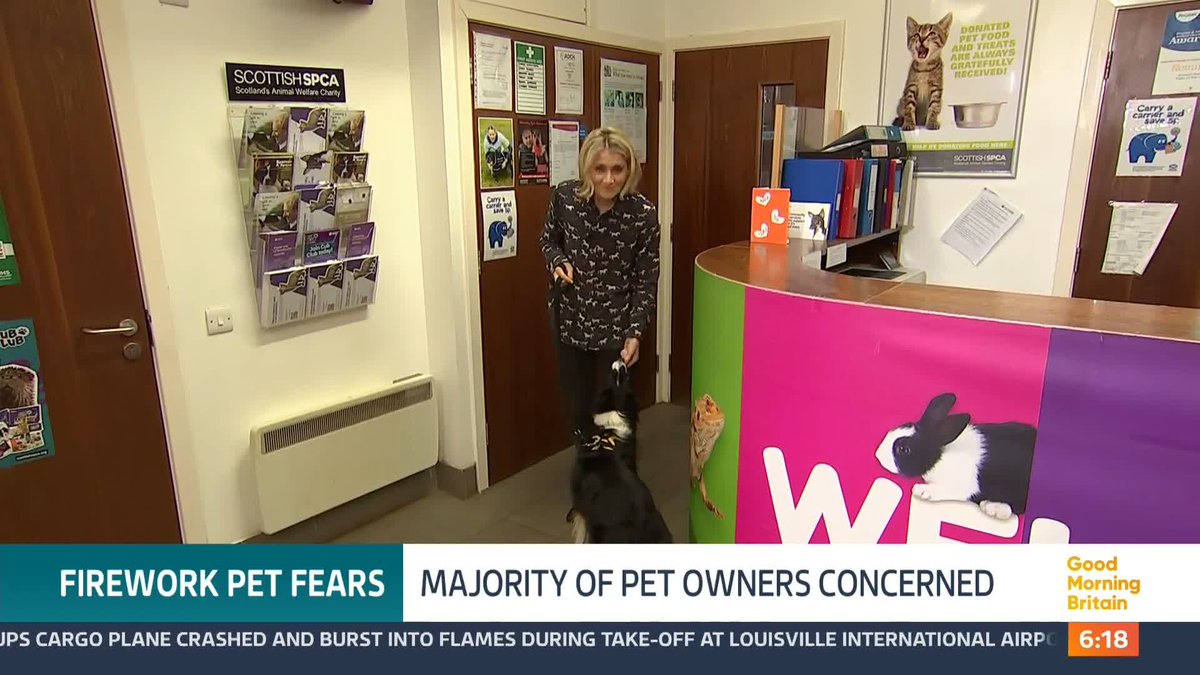 More than two-thirds of pet owners have major concerns about fireworks and the impact on their animals, according to the latest research. Animal charities are urging people to keep their pets safe and inside on Bonfire night tonight. @Julietdunlop reports.