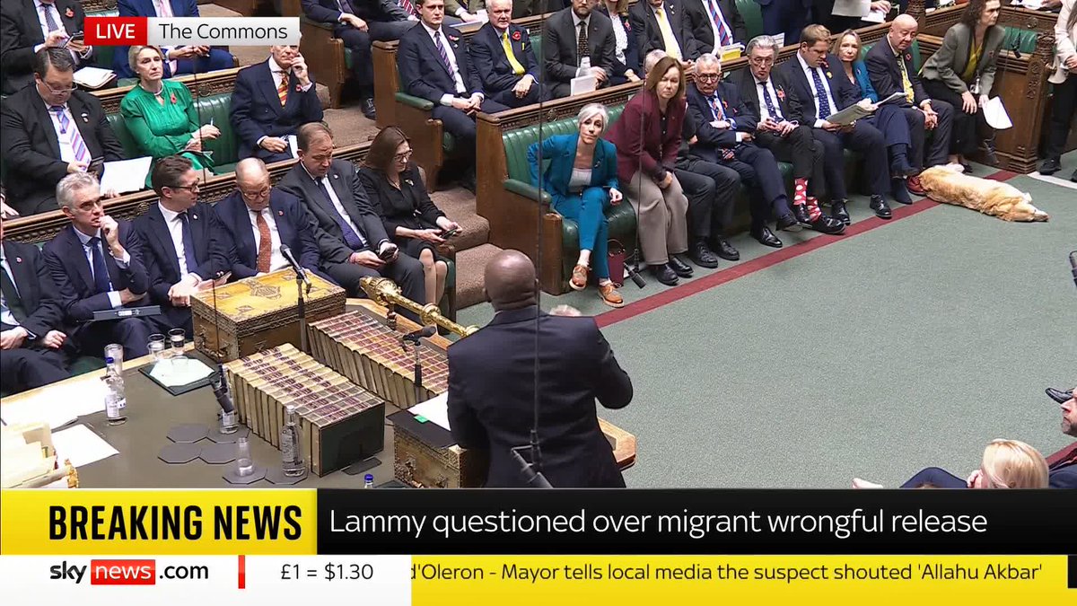 As the government faces questions about tax rises, deputy PM David Lammy defends Rachel Reeves on her upcoming budget saying "the Chancellor will do everything she can to invest in our NHS and public services" 📺 Sky 501