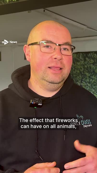 The Royal Zoological Society of Scotland has renewed its call for a national ban on the public sale of fireworks, saying 'loud and unpredictable' pyrotechnics continue to cause distress to animals and people.