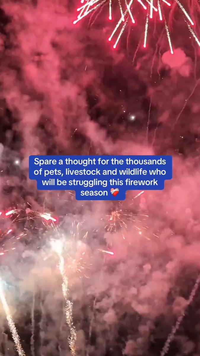 For countless animals, and many people too, fireworks are not a celebration, they're a nightmare which feeds anxiety, fear, and panic 💔 Fireworks are loud - but together, our voices are louder. Demand changes to firework laws and contact your MP now: