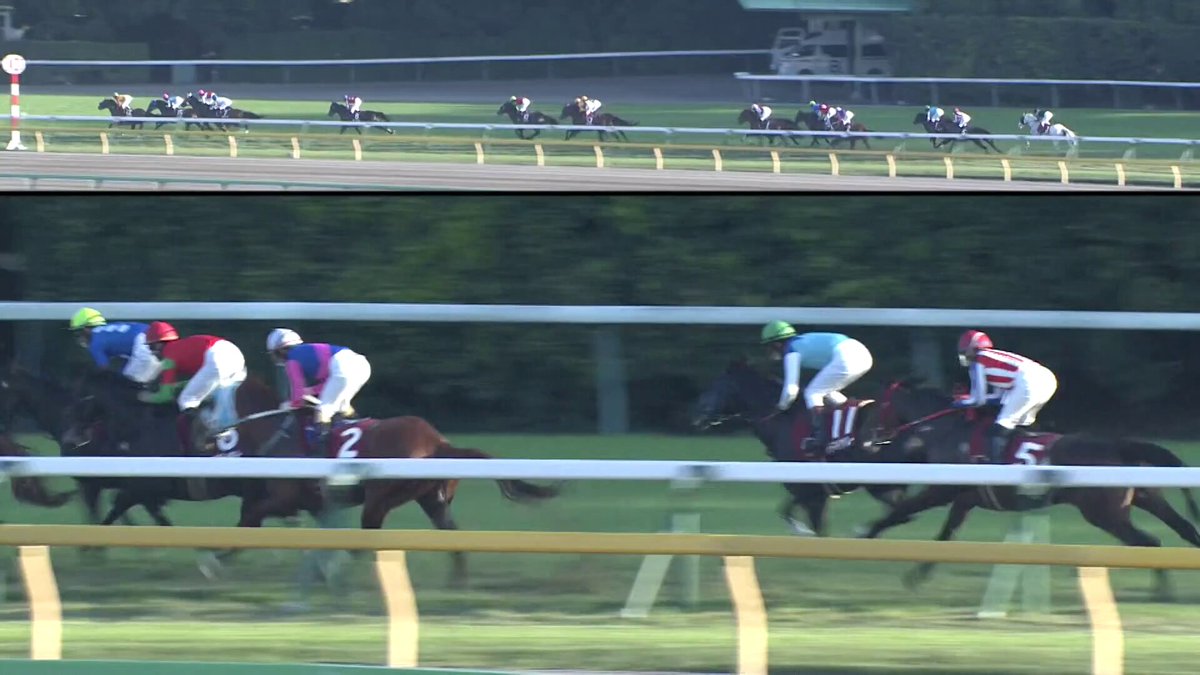 【2024年 アルゼンチン共和国杯】 🥇１着 ハヤヤッコ 吉田豊 🥈２着 クロミナンス 戸崎圭太 🥉３着 タイセイフェリーク 大野拓弥 8歳馬ハヤヤッコが直線一気❗️ 10番人気の低評価を覆し重賞３勝目をあげました🎊