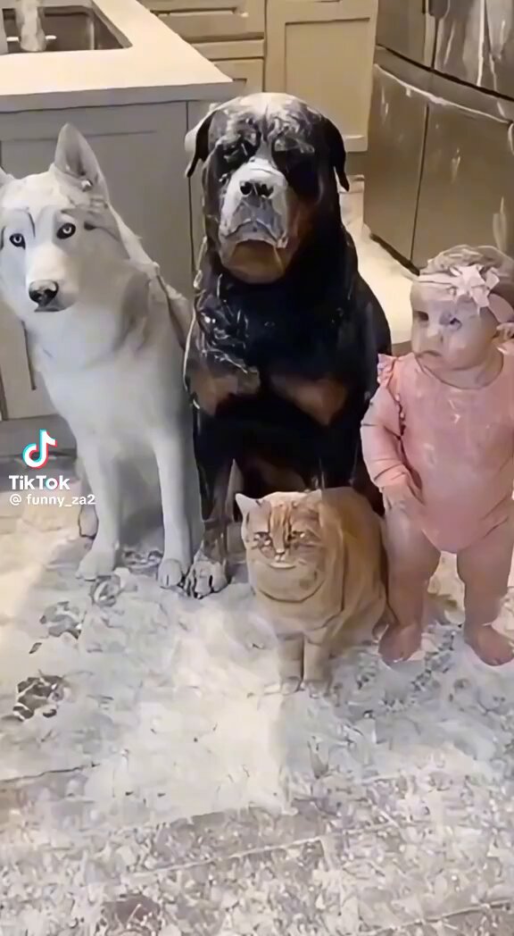 This is the cutest thing you will see today 😂😆 Pets and babies it don’t get any better ♥️