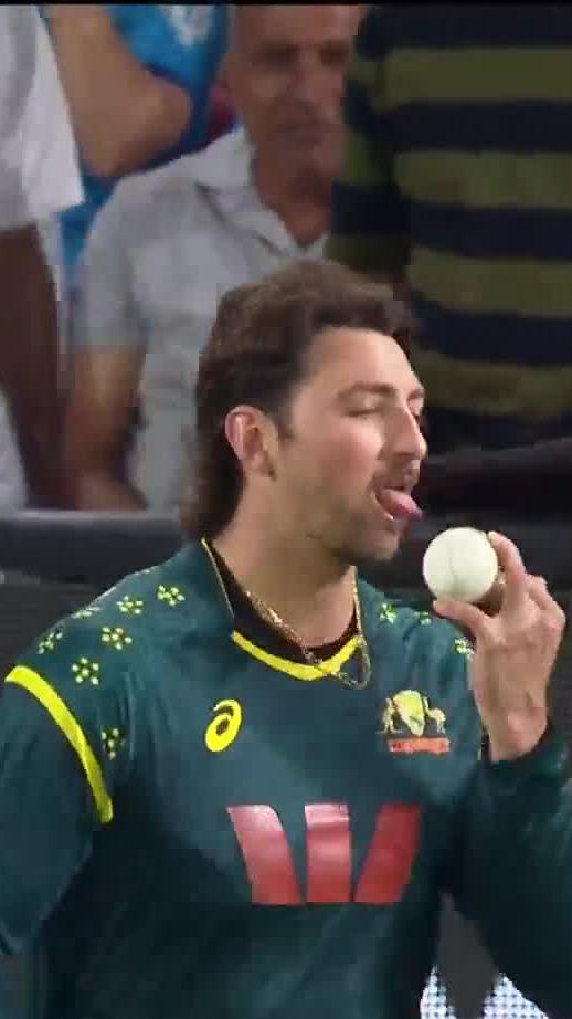 Shameless Celebration from Tim David. He Cooked India