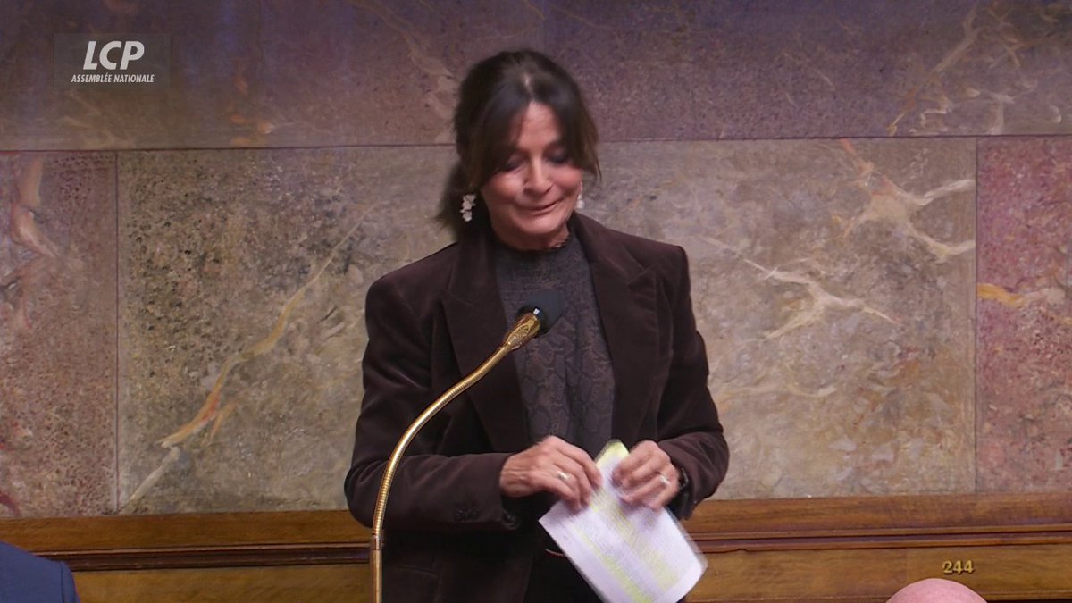Budget de la Sécurité sociale : Nathalie Colin-Oesterlé (Horizons) propose le passage aux 36 heures de travail hebdomadaire. #DirectAN #Budget2026