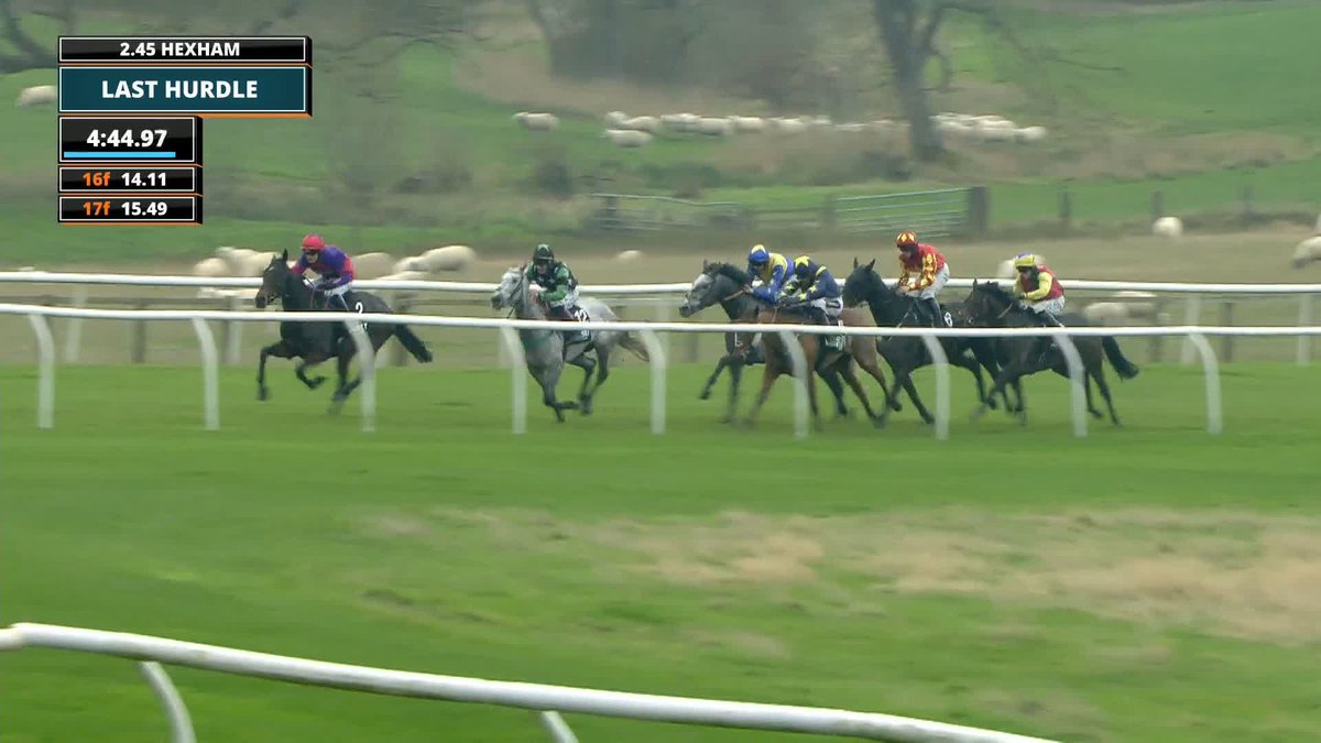 HOW CONVINCING WAS THAT 👏👏👏 Hay Meadow takes the Unibet More Extra Places Handicap Hurdle for lucinda russell &amp; Michael Scudamore 🏆
