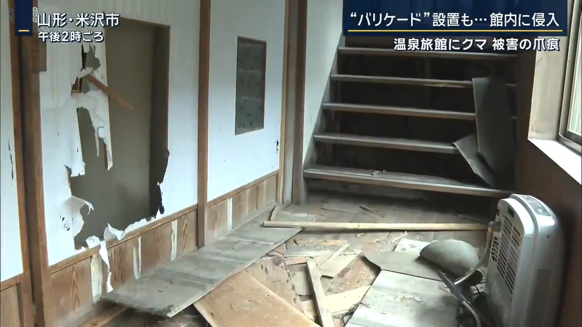 Asahi TV reports that a bear forced its way into an onsen ryokan in Yamagata. The family that operated it were trapped inside, piling up furniture to block potential paths the bear could take. Four hours after they called police, hunters killed the bear.