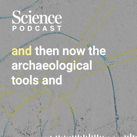 Contributing Correspondent Sofia Moutinho visited the Xingu Indigenous territory in Brazil to learn about a long-standing collaboration between scientists and the Kuikuro to better understand early Amazon communities. Hear more about her trip in the latest #SciencePodcast🎙️: