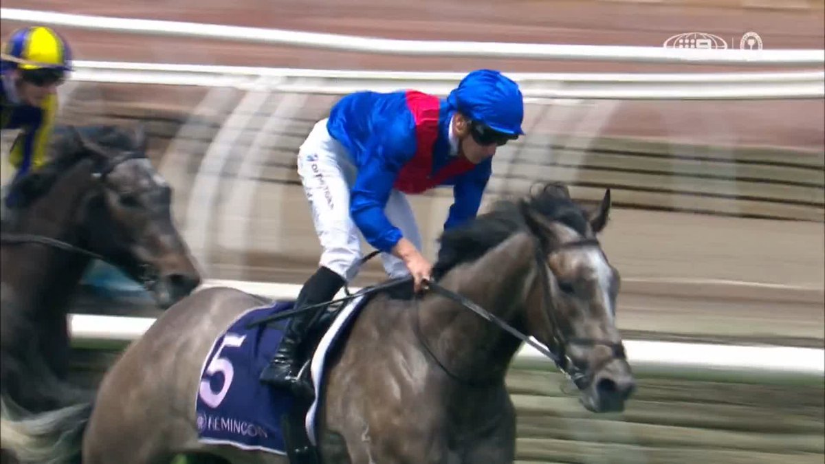 ⚪️ 豪州の芦毛限定レース、今年も無事に開催 🇦🇺 6日、オークスデーのフレミントン競馬場で行われたサブゼロハンデキャップ。恒例の芦毛限定戦を勝ったのは、4歳騸馬のゲータフィックスでした。 4代母から芦毛を受け継ぐ、筋金入りの芦毛牝系の出身馬です。 #競馬 #海外競馬