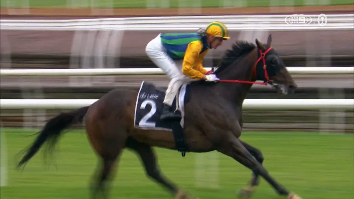 A thrilling finish 😮‍💨 A measured ride sees CEOLWULF surge late to capture the Lexus Champions Mile by a nose. 🎥 Wide World of Sports | #StakesDay | #MelbCupCarnival
