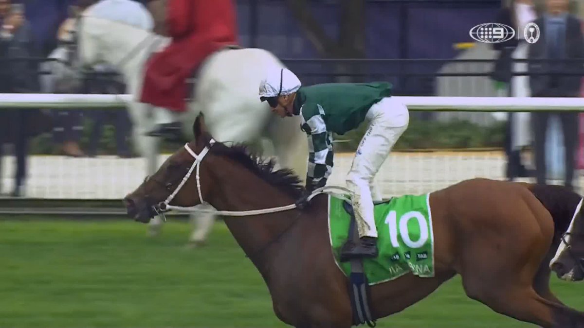 💚 重馬場を切り裂いてG1・12勝目!!! 🇦🇺 2000mのG1・VRCチャンピオンズS。鞍上はジェームズ・マクドナルド騎手、8歳牝馬のヴィアシスティーナが難なく突き抜けて圧勝。今季3度目のG1制覇。 前走のコックスプレート連覇に続き、このレースも連覇達成。 #競馬 #海外競馬