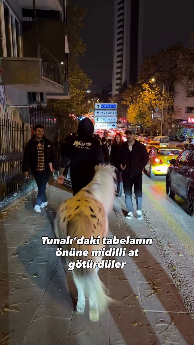 Kızılay’da viral olan tabelanın önüne midilli götürüldü. 🐎 Artık midillinin de tabelayla fotoğrafı var.