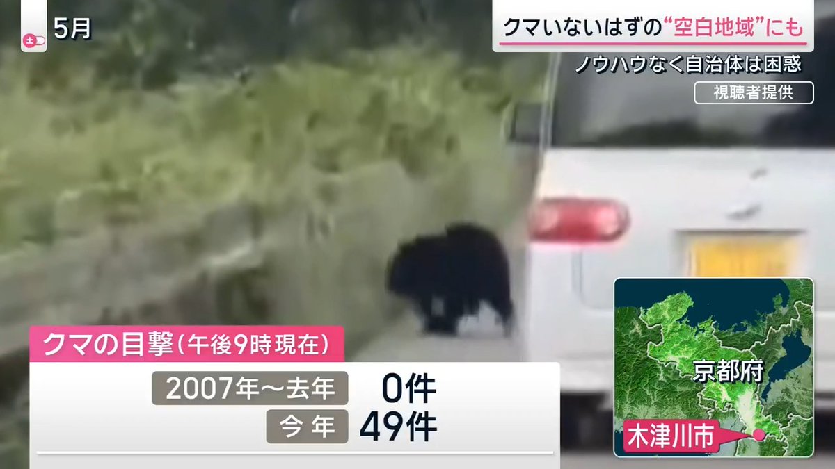 【“空白地帯”にもクマが…】「山にエサはある」なぜ人里へ？ ｜ 8日、山形県のJR新庄駅構内にクマ1頭が入り込み、山形新幹線の新庄〜山形間で区間運休に。クマは箱ワナで捕獲された ▼秋田県では今年クマによる死者が4人 仙北市では6日に古城山でクマが出没し、市の要請を受けて民間のドローン会社が捜索を開始 日が沈んで暗くなった午後5時前、クマが通ったとみられる獣道の上空を捜索しているとクマとみられる動物の熱源を検知 →ドローン会社の担当者は警察に通報。その後このクマが捕獲されたかどうかは不明 秋田県ドローン協会 金森昌亮 代表理事 「クマが活動する時間帯というのが日中ではなく夜間に活動しているというのが改めて認識できた」 ▼こうしたクマの習性を受けて観光地も対策 福島市の農村テーマパーク「四季の里」は夜間の営業を取りやめ、毎日3〜4回場所を変えながら花火や爆竹を鳴らしたり、クマを寄せ付けない薬剤を設置するなど対策を強化 →しかし、来場者数は去年10月と比べほぼ半減 四季の里 所長 広瀬健作さん 「今は小学校とか幼稚園の遠足の時期。10月は軒並みキャンセルが相次いだ」 ▼これまでクマが出没しなかった場所でも… 奈良との県境にある京都・木津川市では、2007年〜2024年までクマの目撃はゼロ →2025年は49件(8日午後9時時点) 木津川市 農政課 木下勝史 課長 「何をしたらいいのか、どういう対策をしたらいいのかといったところから勉強しなきゃいけない」 京都で30年以上猟師をしている太田さんは、山で“ある異変”を感じていた 猟師 太田時男さん(67) 「今年はたくさんどんぐりが落ちています。去年はこんなに落ちていなかった」 今年は福知山市周辺のどんぐりの量が去年よりも豊作に。毎年クマに食べ尽くされるはずが大量に残っていた →京都などでは山にエサはあるがクマが人里におりてきている状況 森林総合研究所 東北支所 大西尚樹氏 「山のほうで実りがよかったとしても人間の食べ物が簡単に手に入る場所とか方法を身につけてしまっていたら、人間の食べ物を食べ続けるということもあり得ると思う」 サタデーステーション