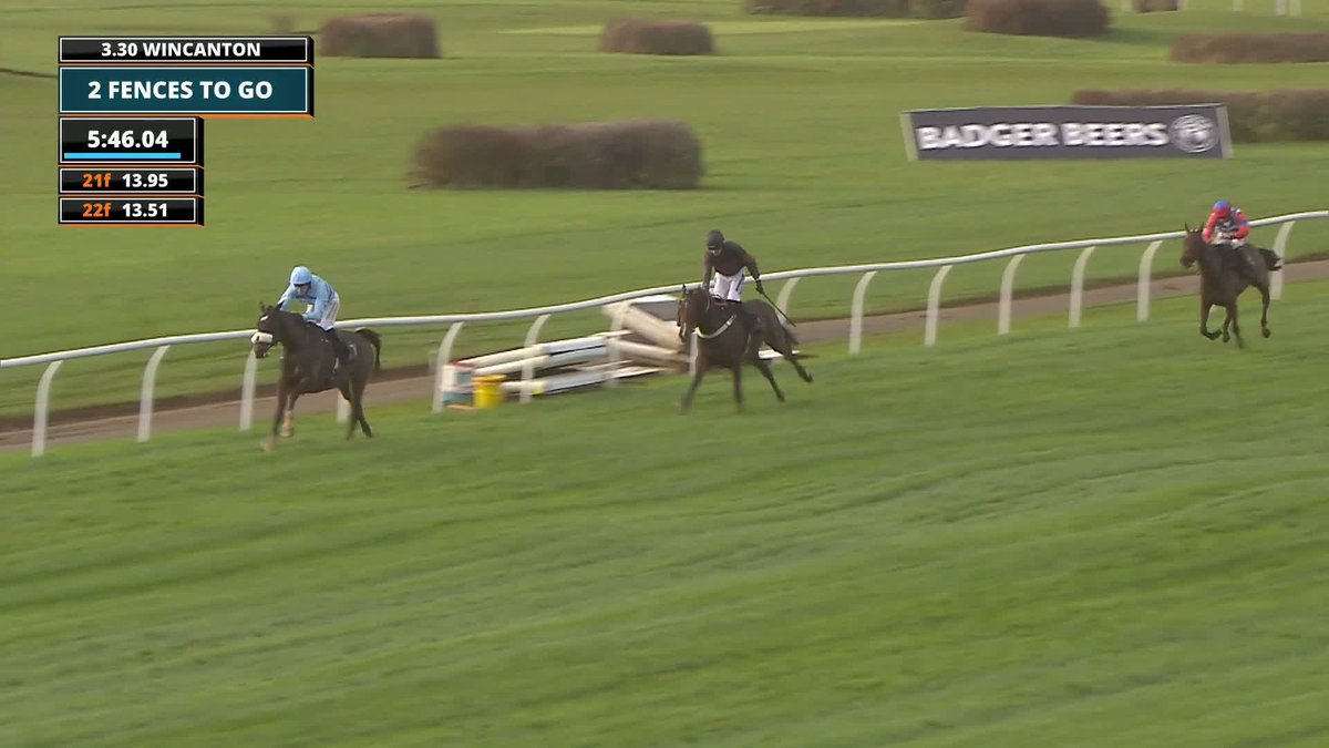 He's run them RAGGED! 🤩 Gustavian STORMS to the 64th Badger Beers Handicap Chase 🦡🍻 #ITVRacing | Rex Dingle | Anthony Honeyball