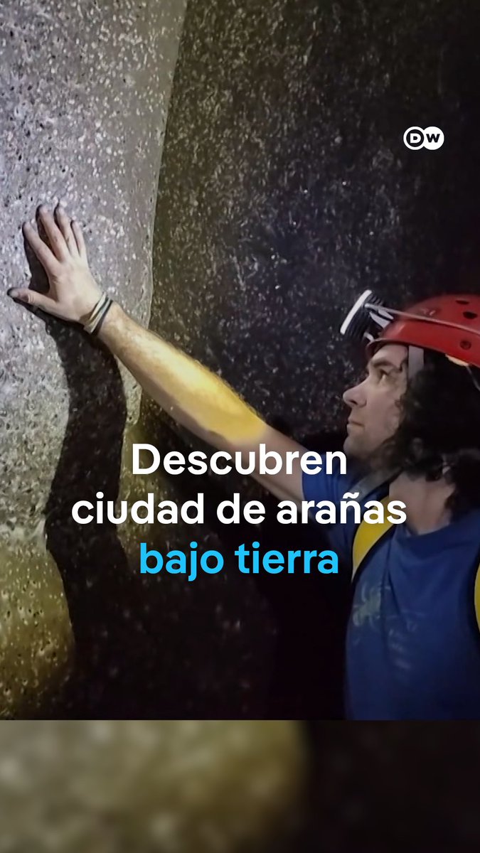 🇬🇷🇦🇱 | Científicos hallan megaciudad de 111.000 arañas en una cueva entre Grecia y Albania En una cueva entre Grecia y Albania, científicos descubren una red de telarañas de más de 100 m² habitada por 111.000 arañas de dos especies distintas.