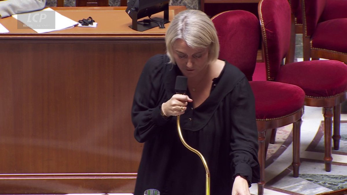 "Ce n'est pas 'France Santé' qui va fabriquer le médecin en deux jours (...) mais le Français qui poussera la porte aura une réponse à sa demande en soins", indique Stéphanie RIST. L'amendement gouvernemental visant à la création du réseau "France Santé" est adopté. #DirectAN