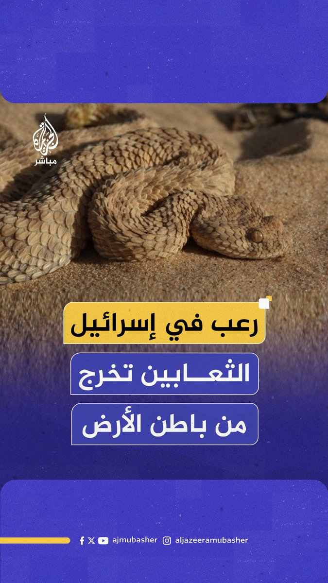 صحيفة معاريف الإسرائيلية تكشف تفاصيل الرعب الذي تعيشه مدينة "طبريا" شمالي #فلسطين المحتلة بسبب الثعابين #الجزيرة_مباشر