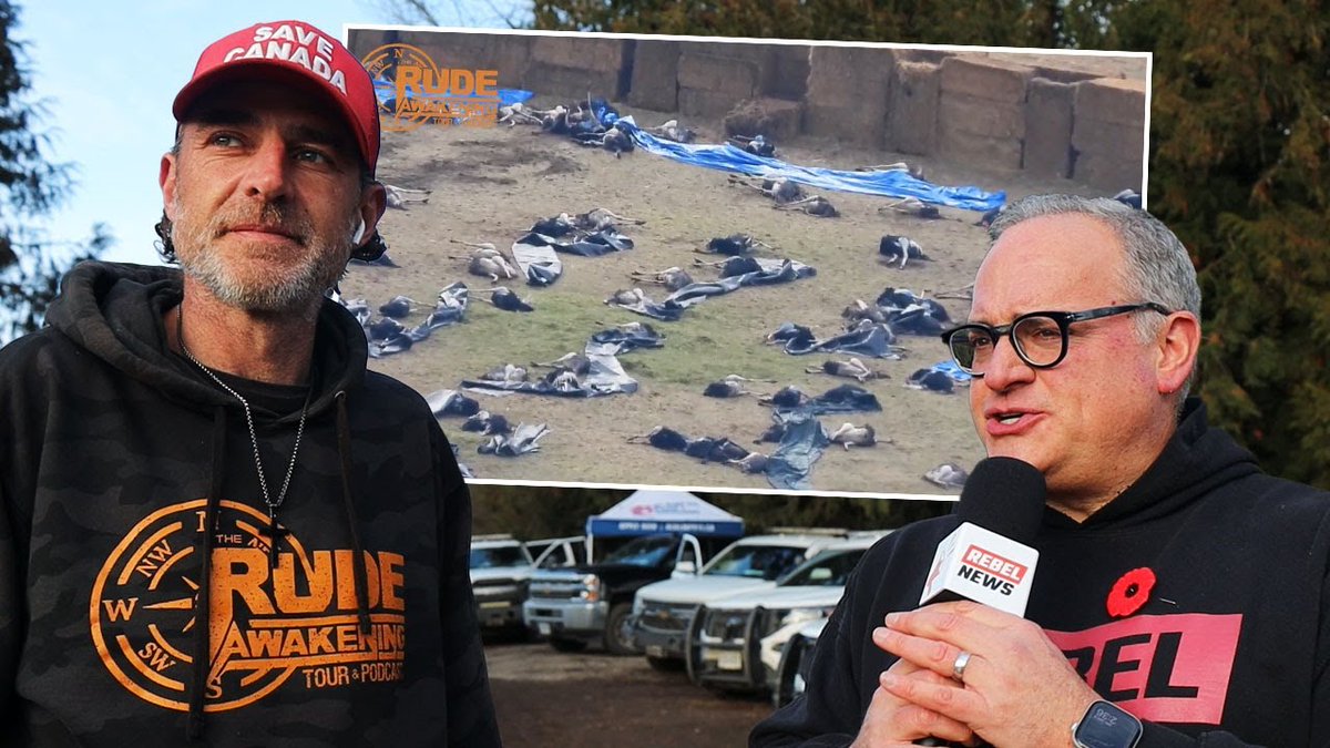 🚨Dacey Media alleges RCMP 'drone harassment' at ostrich farm Ezra Levant 🍁🚛 reported Saturday from the Edgewood, B.C., ostrich farm where 300 healthy birds were massacred, commending citizen journalist Chris Dacey's critical on-the-street reporting. Independent Press Gallery members Dacey and Drea Humphrey, using a Nikon P-1000 camera borrowed from Dave Freedom and assisted by airborne veteran Mike Rood, exposed a situation that pressured the RCMP. After initial footage emerged, the RCMP's transparency issues were exposed, leading to frustration. Levant criticized their un-Canadian tactics—a no-fly zone, anti-drone tech, night operations, and hay walls—contrasting these with the police's "serve and protect" and transparency claims. The Rebel News’ publisher called the scene dystopian, citing secrecy and lack of transparency about ostrich deaths, breeding public paranoia. He highlighted the misrepresentation of "Spirit," an ostrich the police injured with drones and then put down. Media attributed its death to avian flu, but the healthy bird died from sepsis due to neglected drone injuries. Levant and Dacey criticized the RCMP's priorities, highlighting their largest B.C. operation focused on an ostrich farm, not serious crime. They called RCMP drones "weapons of terror" used to harass people with bright lights. Moreover, Levant and Dacey reported police provocation. A distressed farm owner cited the officer's social media use and pointing. Dacey also reported ongoing officer provocation against him and his neighbor, Trevor, who faced two weeks of drone harassment before Dacey's arrival. Levant suggests the government and RCMP used "DARVO" (Deny, Accuse, Reverse Victim and Offender) during the Coutts, Alberta convoy, mirroring their current tactics to make victims appear as aggressors. He concludes that their reporting exposed the RCMP, who then intensified efforts to provoke a violent reaction, which ultimately did not occur. Levant believes Alberta and other provinces should terminate RCMP agreements, claiming the force served Ottawa's interests over British Columbia's. Dacey, a law enforcement supporter, observes current policing practices differ from his experience and notes officers appeared "morally injured," with a police chaplain offering support.