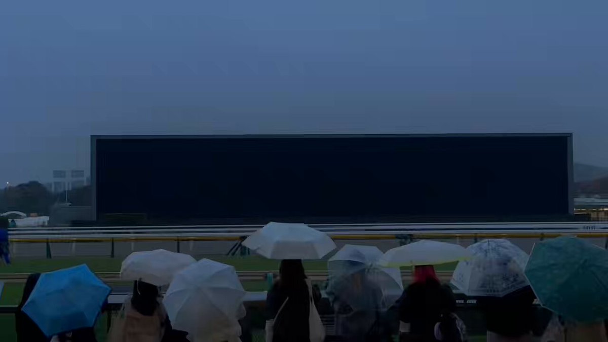 昨日の16:40の帝統 マジでひとりででっかい画面占領するの凄すぎるし生き生きとしてて非常に良い またいきたい🐎