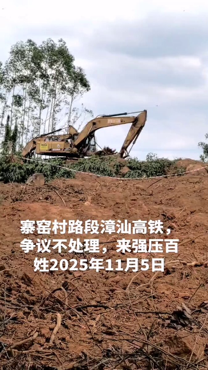11月5日，福建漳州市漳浦县绥安镇寨窑村，一名村民反映自家土地遭强征。 她称，当天刚到现场，还没来得及说几句话，就被一群身穿黑衣的保安包围。她被对方殴打推倒在地，手机被砸坏，脚部流血受伤。更令她愤怒的是，对方反而诬陷她“持农具砍人”。 随后，现场人员请来医生“验伤”，但医生检查后未发现任何所谓“被砍伤”的证据便离开。该村民表示，自己全程未动手，只是前去查看自家土地，却遭到围殴与诬陷，如今手机损坏、脚伤尚未痊愈。#维权