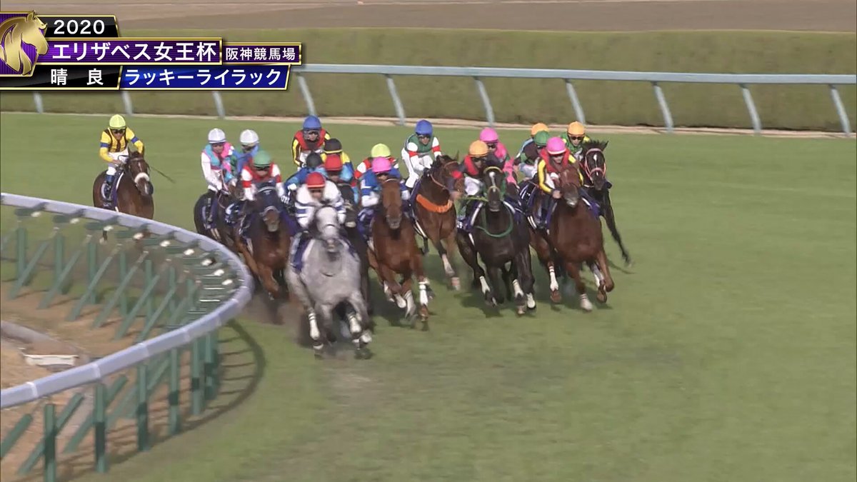 #エリザベス女王杯 過去5年ダイジェスト🏇 【過去5年の優勝馬👑】 2020年ラッキーライラック 2021年アカイイト 2022年ジェラルディーナ 2023年ブレイディヴェーグ 2024年スタニングローズ