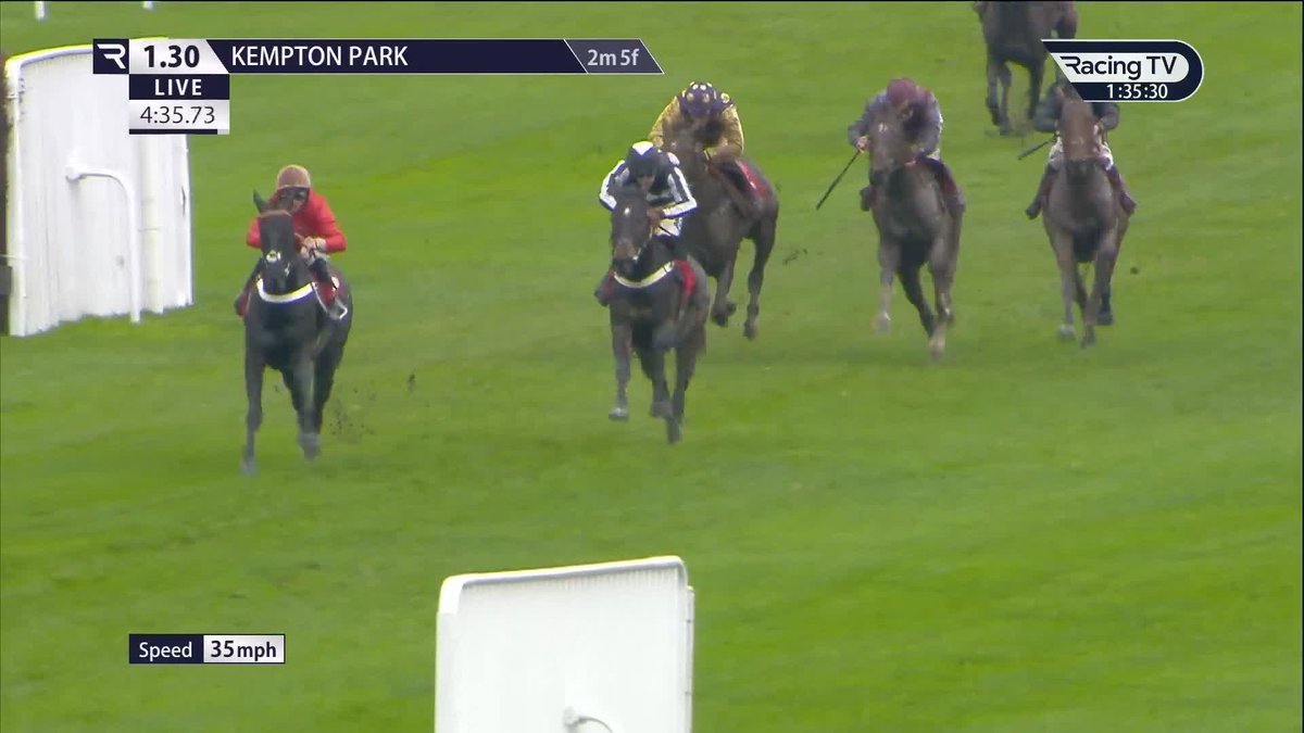 Irish point winner Kasino Des Mottes stays on to fine effect to open his hurdles account for Brendan Powell and Joe Tizzard Racing Kempton Park Racecourse