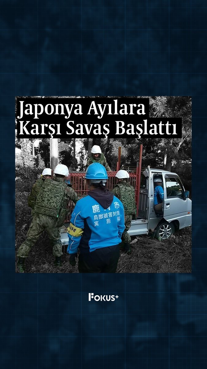 ➕ Japonya'da eşi görülmemiş bir kriz yaşanıyor. ▪️ Kuzeydeki köyleri basan ayılar, onlarca yıldır görülmeyen bir ölüm dalgasına neden oluyor. ▪️ Nisan ayından bu yana 100'den fazla saldırıda 12 kişi hayatını kaybetti. ▪️ Durum o kadar ciddi ki hükümet, askeri birlikleri dağlara gönderme kararı aldı.