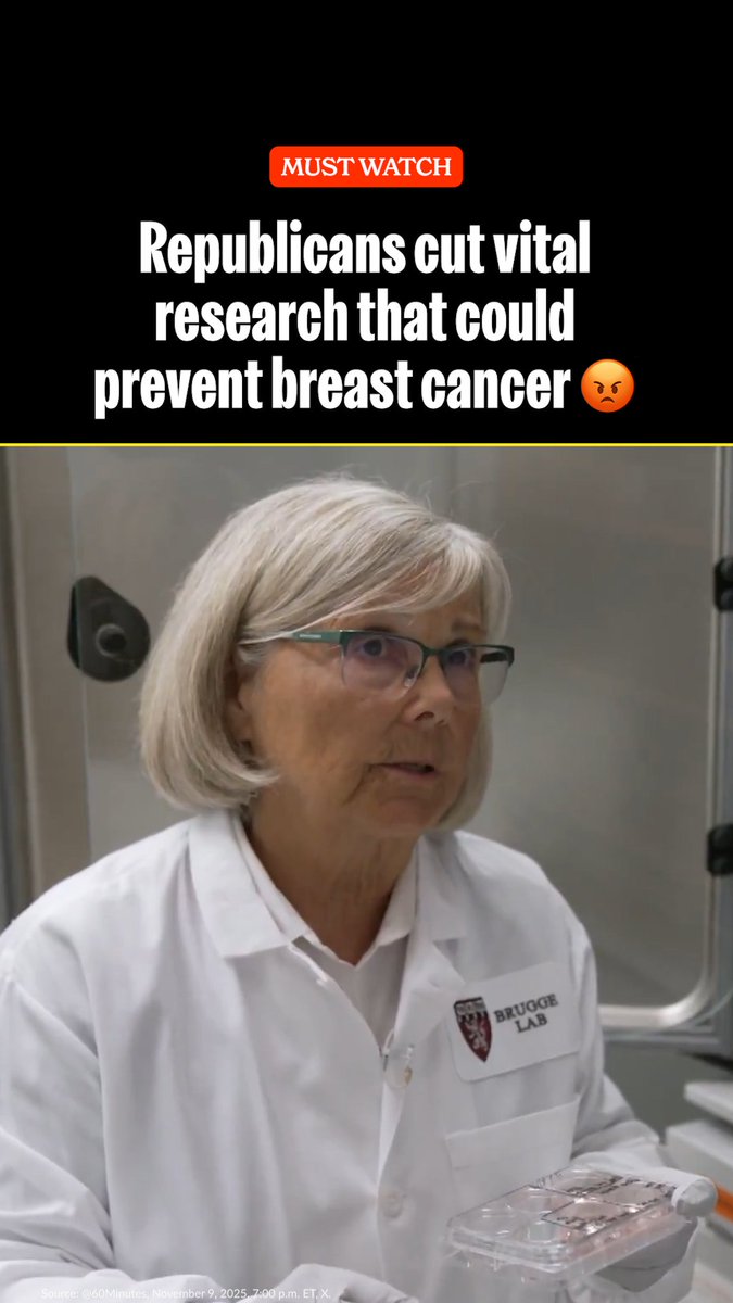 The Trump administration's cuts to research funding means scientists can't develop new ways to fight deadly diseases like breast cancer.
