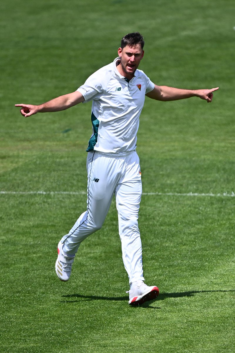 Beau Webster puts his name forward for the first Ashes test with 5 wickets for Tasmania 🤩 #SheffieldShield
