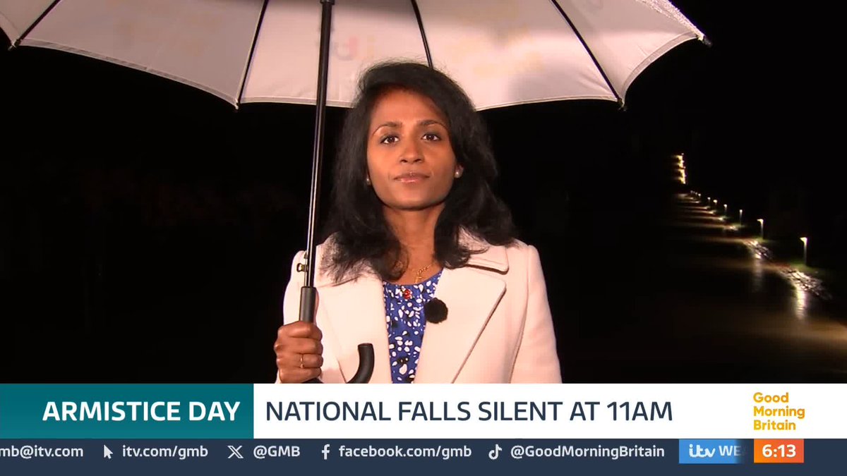 The nation will fall silent for 2 minutes at 11am this morning to mark Armistice Day. Commemorations will be led by a service at the National Memorial Arboretum, where the Princess of Wales will lay a wreath and meet veterans and their families. Nitya Rajan reports.