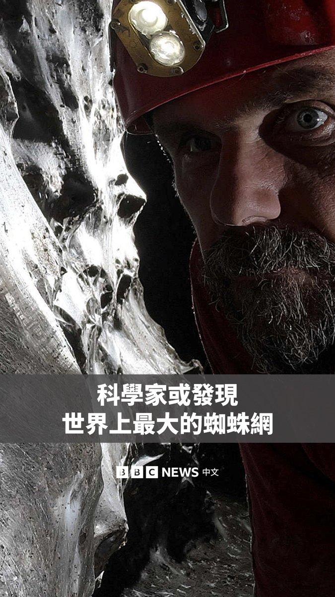 2022年，研究者曾在位于阿尔巴尼亚和希腊边境的硫磺洞（Sulfur Cave）中发现了一个巨大的蜘蛛“超级城市”。经过多年的研究，科学家估计，这张面积超过100平方米的蜘蛛网中居住着大约11万只蜘蛛。 这张蛛网包含两个基因不同的物种，与生活在地表的同类并无亲缘关系。值得注意的是，这是首次观察到这些通常独居的蜘蛛形成群体。 研究人员认为，该洞穴吸引大量蜘蛛的原因，可能是洞内栖息着数量众多的蠓虫，为蜘蛛提供了充足的食物来源。