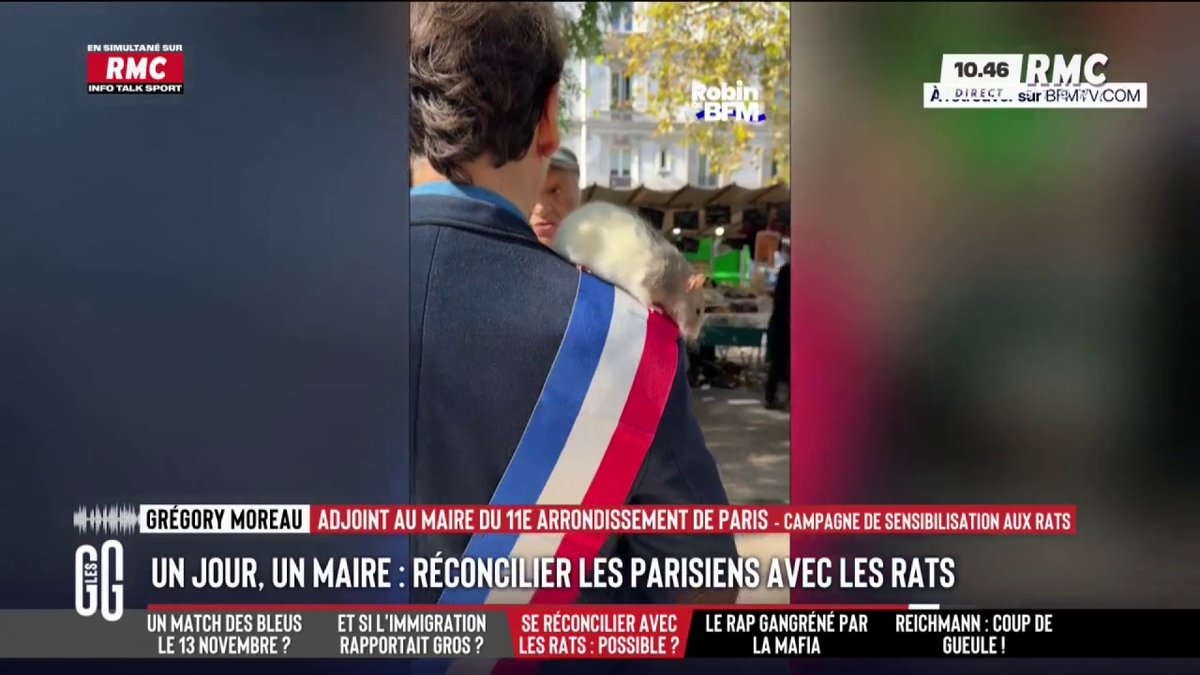 🇫🇷 Grand Prix des Maires : apprendre à vivre avec les rats 🎙️ Grégory Moreau, adjoint au maire du 11e arrondissement de Paris : "Pourquoi pas avoir un rat chez moi. C'est un animal très doux et agréable." #GGRMC