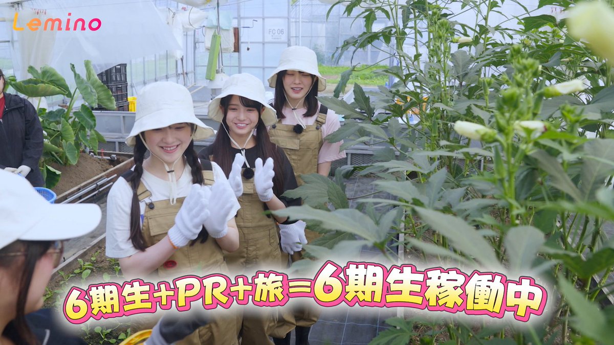 ◤乃木坂46 #6期生稼働中📣◢⁴⁶ #大越ひなの、#鈴木佑捺、#瀬戸口心月 の北海道稼働・完結編！ 新鮮な海鮮が楽しめる市場で初ホタテに感動✨ さらに高校の校内放送で #乃木坂46 のPRを実施🏫 第6話は11/14(金) 12:00配信開始です💜 🎫｜ #乃木坂46_6期生 #レミノ