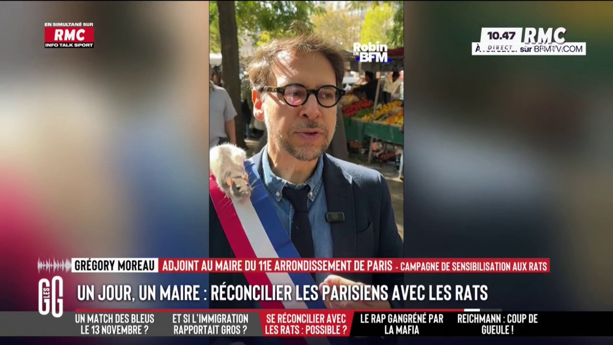 🎙️ Grégory Moreau : "Il y a une idée reçue sur le rat. On ne voit pas dans les hôpitaux parisiens des gens contaminés par des rats. Il n'y a pas de sujet sanitaire. Il y a juste une mauvaise image liée à la peste." #GGRMC