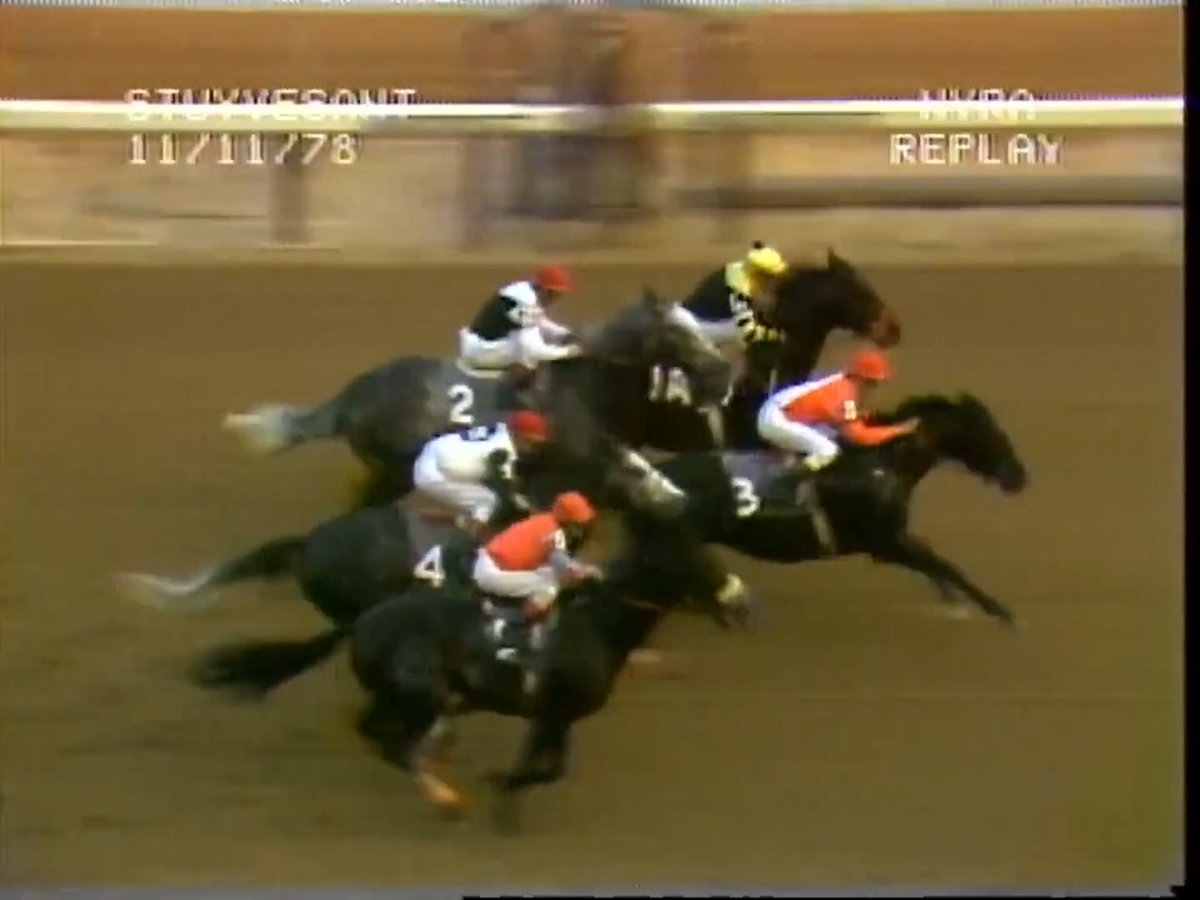 Today in Thoroughbred Racing History, November 11, 1978: At age four, 1977 Triple Crown winner Seattle Slew won his last race, the Stuyvesant Handicap at Aqueduct Racetrack, by 3 1/4 lengths. 📹: NYRA (🗽) #TodayinTBRacingHistory