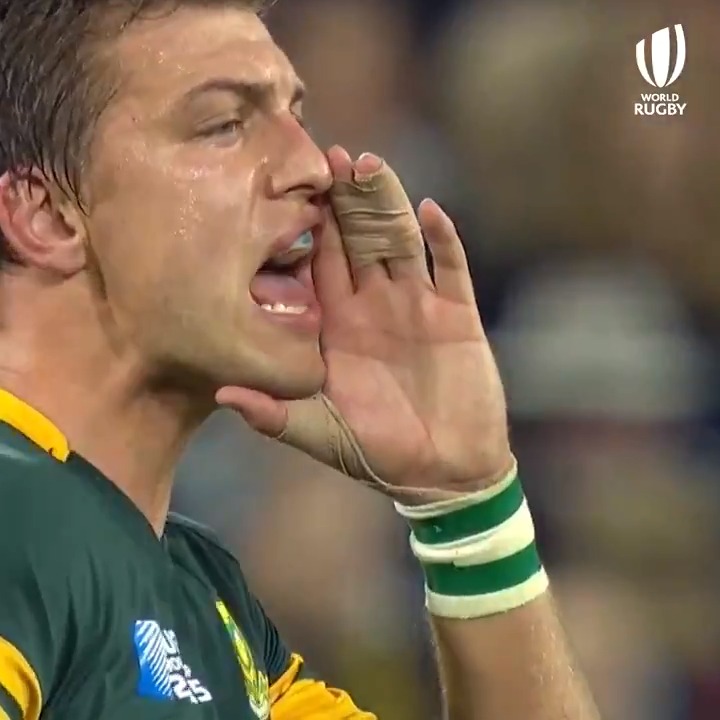Handré Pollard Looking forward to seeing the two-time Rugby World Cup-winning flyhalf vs. Italy this weekend. Probably SFM to start, Pollard from the bench, Libbok a well-deserved break? #FRAvRSA #ITAvRSA #Springboks
