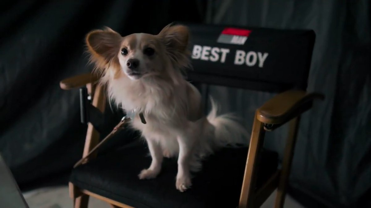 Every Running Man needs a Running Dog. Get your tickets for The #RunningManMovie and see it only in theatres this FRIDAY!