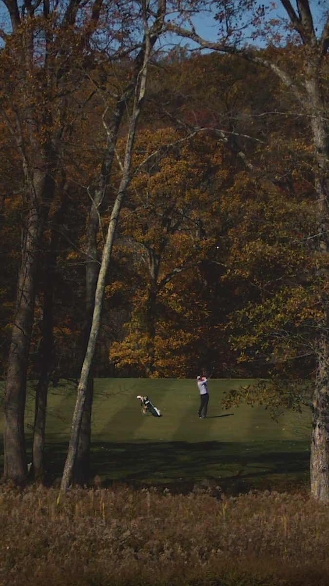 Tag that friend who always thinks they can thread it through the trees. 🌲