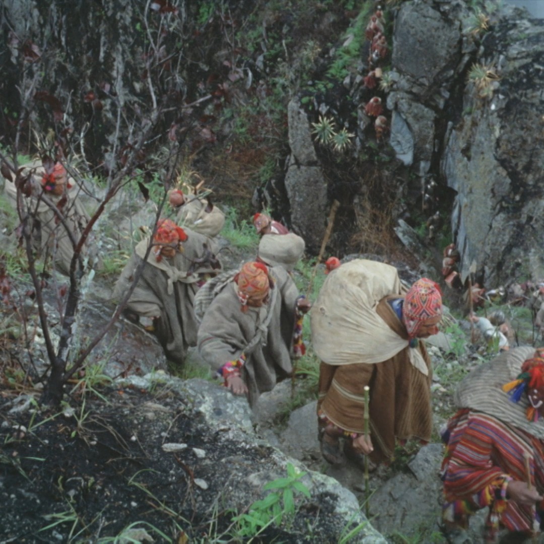 Evening viewing recommendation? On Criterion Channel, watch AGUIRRE, THE WRATH OF GOD (1972) in our Directed by Werner Herzog collection! Klaus Kinski's unhinged performance, the mystical score by Popol Vuh, and the lush, hallucinatory jungle images come together in one of the most haunting, deliriously inspired visions in all of 1970s cinema, a senses-shattering journey to the edge of madness.